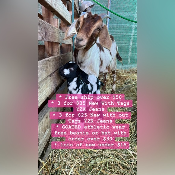 Meet your Posher, James - Picture 3 of 3